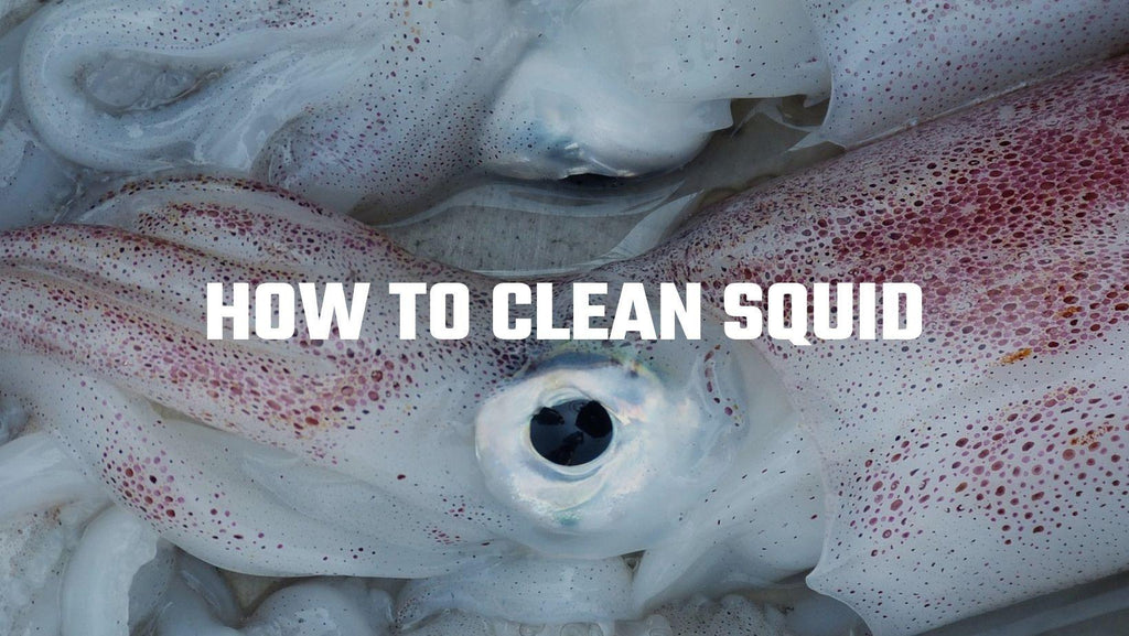 How To Clean Squid