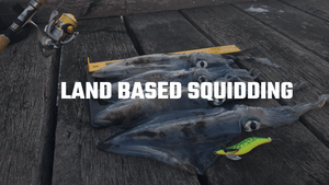 Land Based Squid Fishing - The How To